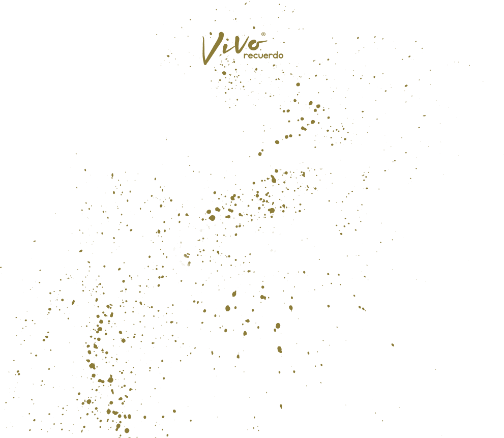 custom.vivorecuerdo.net